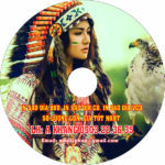 in-sao-dia-dvd-ghi-dia-cd-in-sao-dia-vcd-so-luong-lon-492